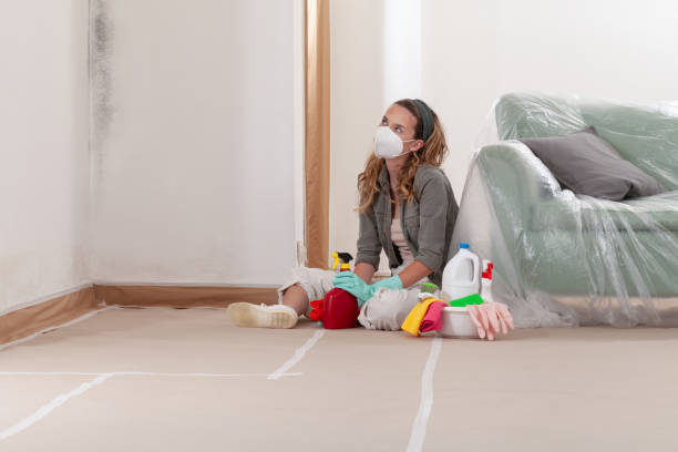 Reliable Basement Mold Remediation contractor in Bellwood, VA by WQB Mold Removal